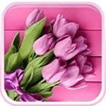 pink tulips live wallpaper android application logo